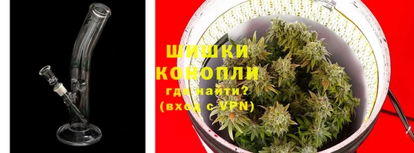 спайс Баксан