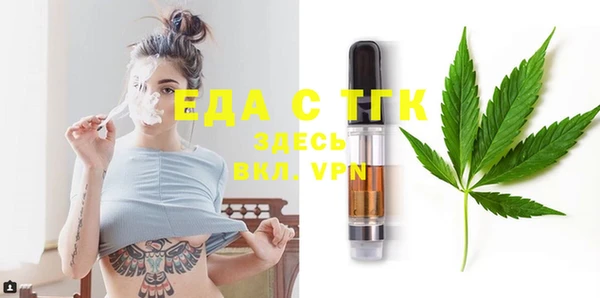 индика Козельск