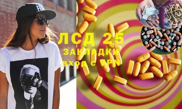 спайс Баксан