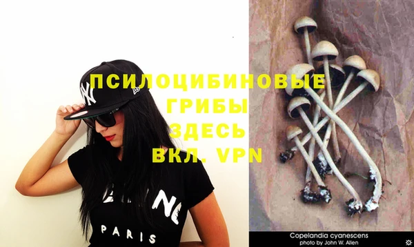 спайс Баксан