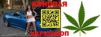 ALPHA PVP Беслан