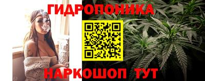 спайс Бийск