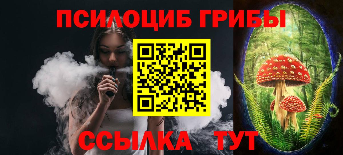 Псилоцибиновые грибы мицелий  Горячий Ключ  Галлюциногенные грибы GOLDEN TEACHER 